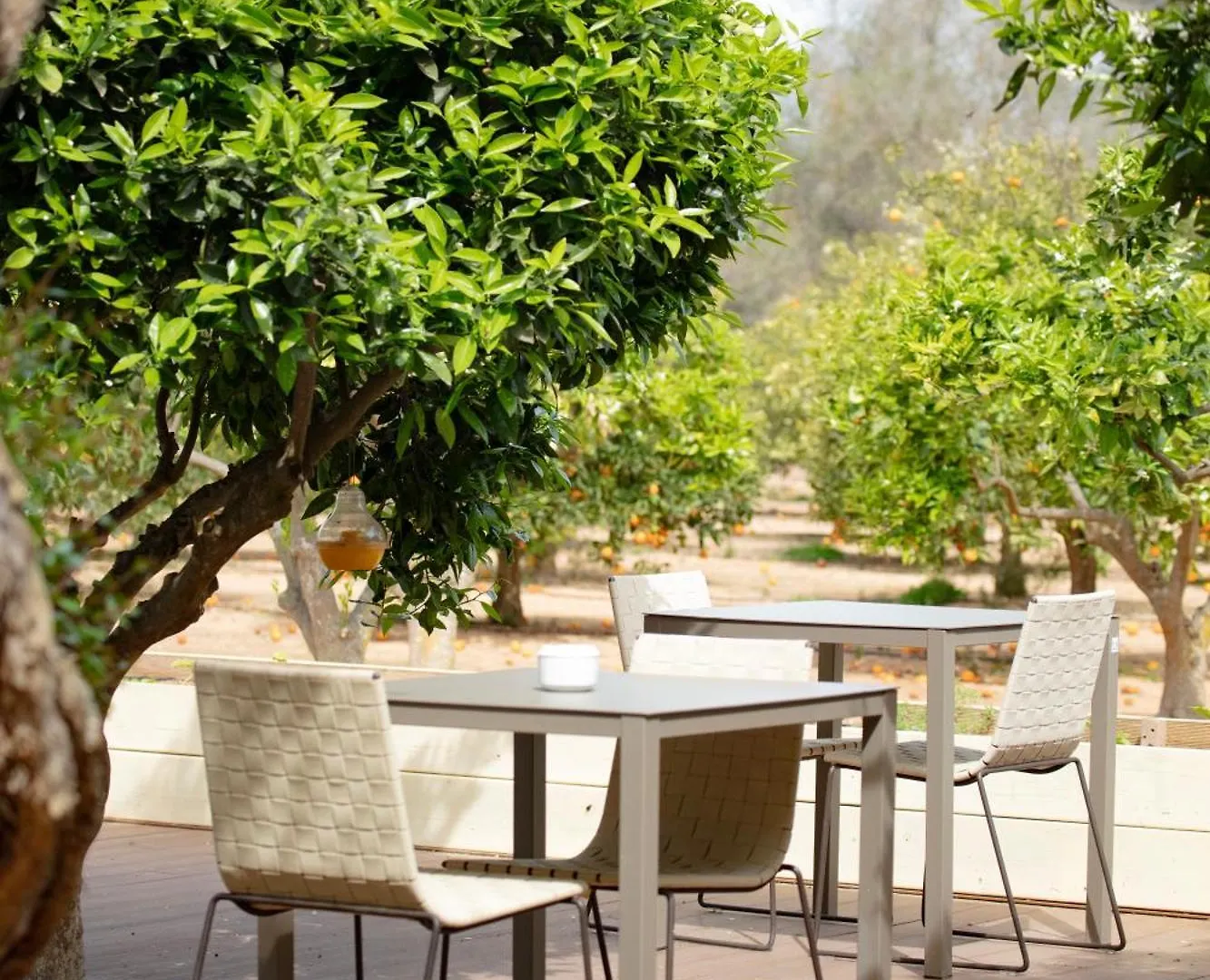 Hotel Can Jaume By Ocean Drive Puig D'en Valls Espagne